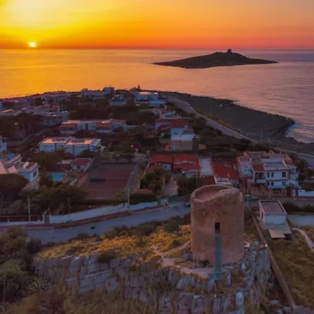 Zagara E Ginestra