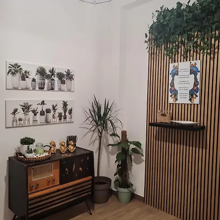 Zagara E Ginestra 伊索拉戴里费米尼